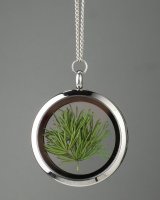 Amulet with pine needless