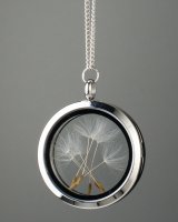 Amulet with dandelion seeds