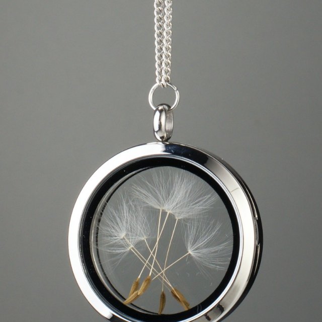 Amulet with dandelion seeds